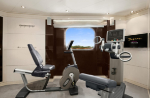 Desire Cruise 2025 Swingers Greece Italy Vista Suite Fitness Room